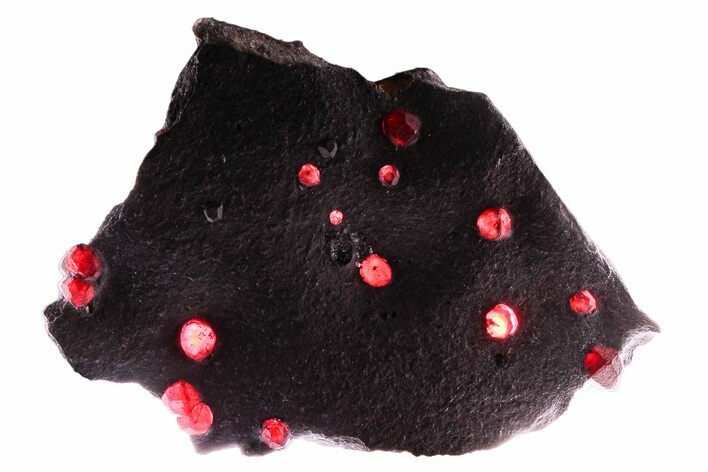 Plate of + Red Embers Garnets in Graphite - Massachusetts #375795